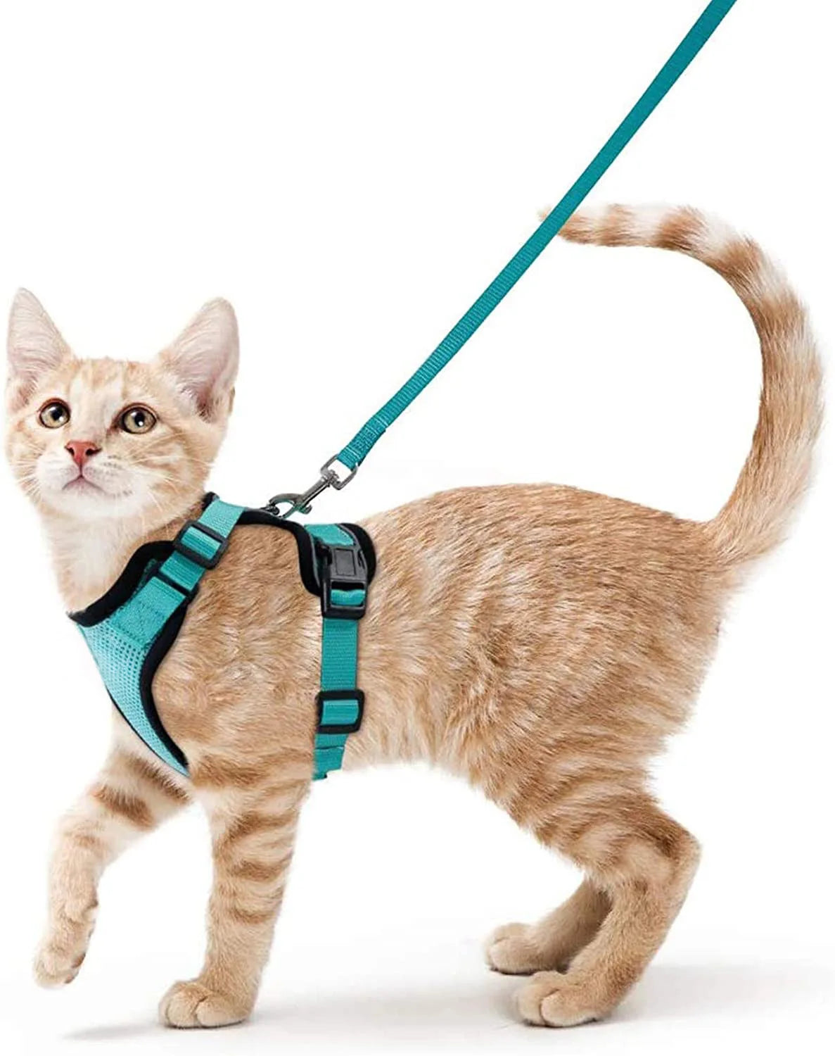 Escape-Proof Cat Harness & Leash – Soft