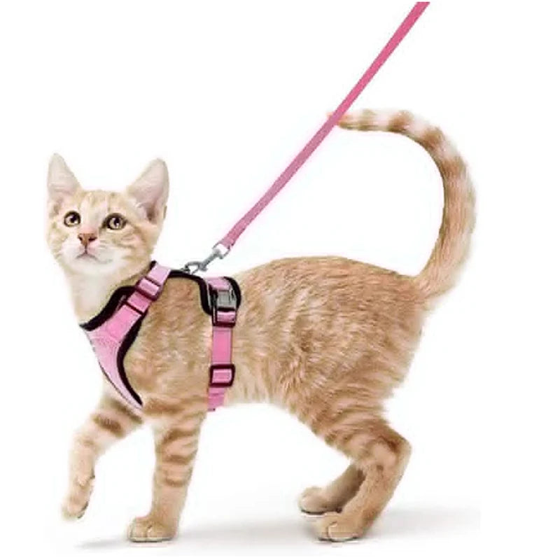 Escape-Proof Cat Harness & Leash – Soft