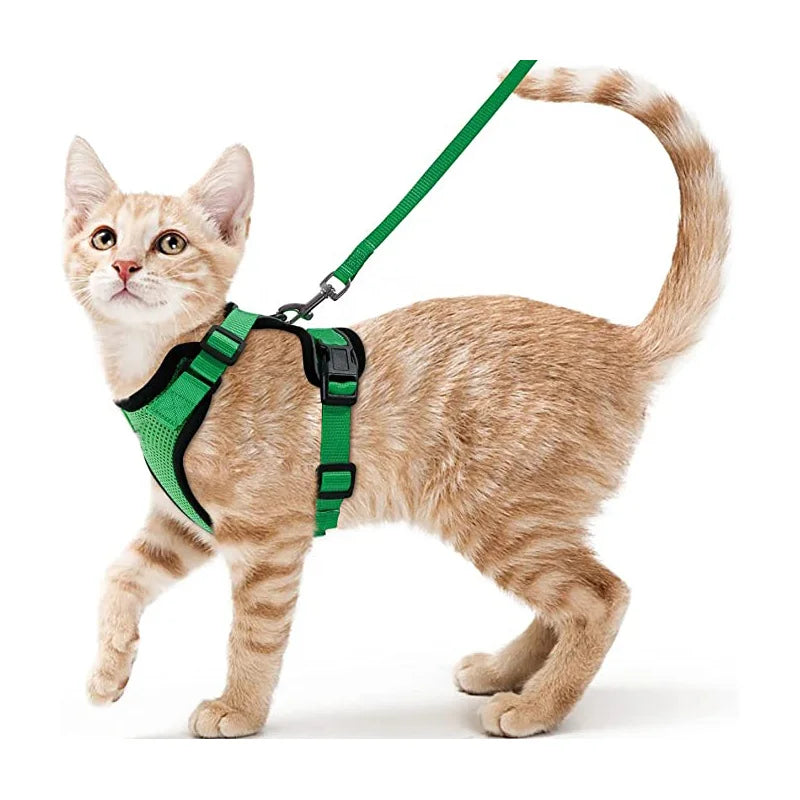 Escape-Proof Cat Harness & Leash – Soft