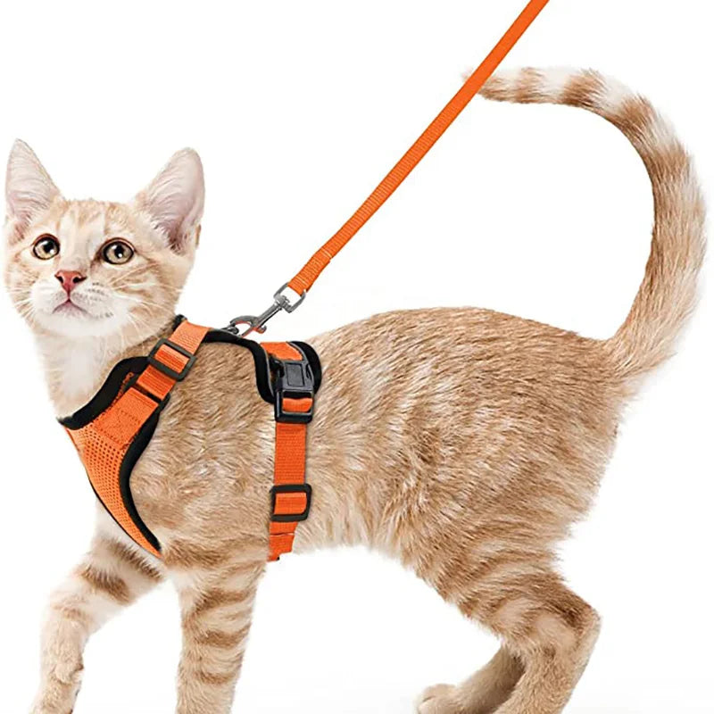 Escape-Proof Cat Harness & Leash – Soft