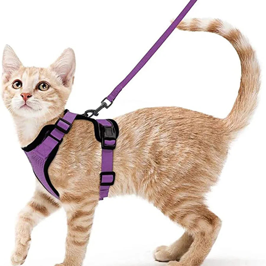 Escape-Proof Cat Harness & Leash – Soft