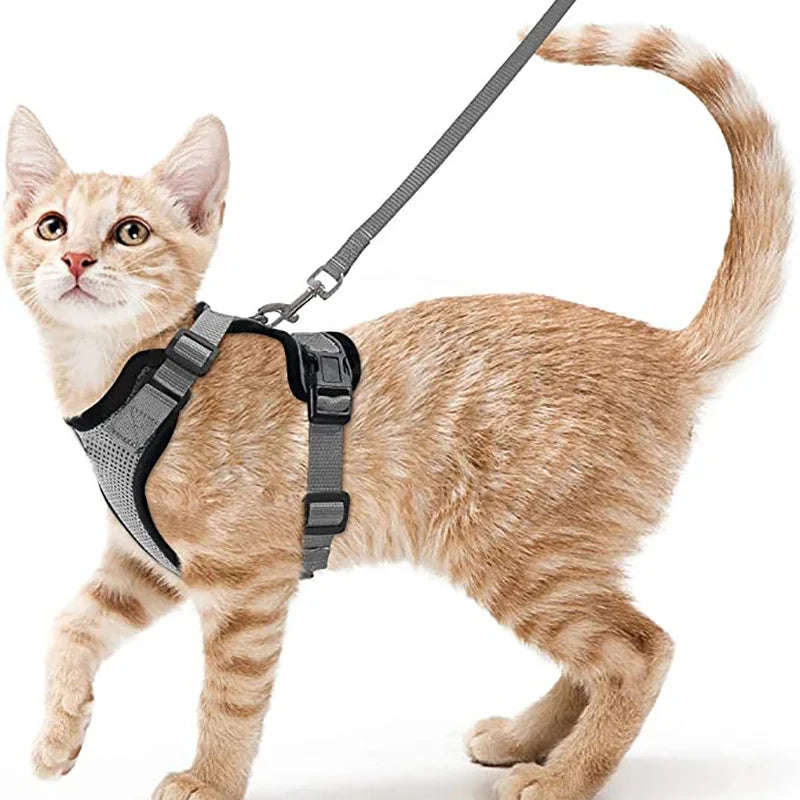 Escape-Proof Cat Harness & Leash – Soft