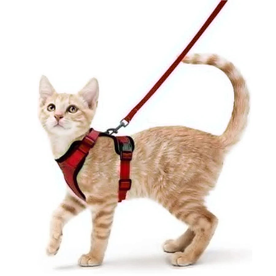 Escape-Proof Cat Harness & Leash – Soft