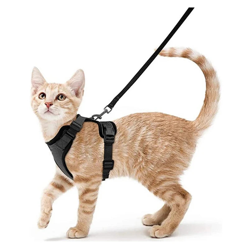 Escape-Proof Cat Harness & Leash – Soft