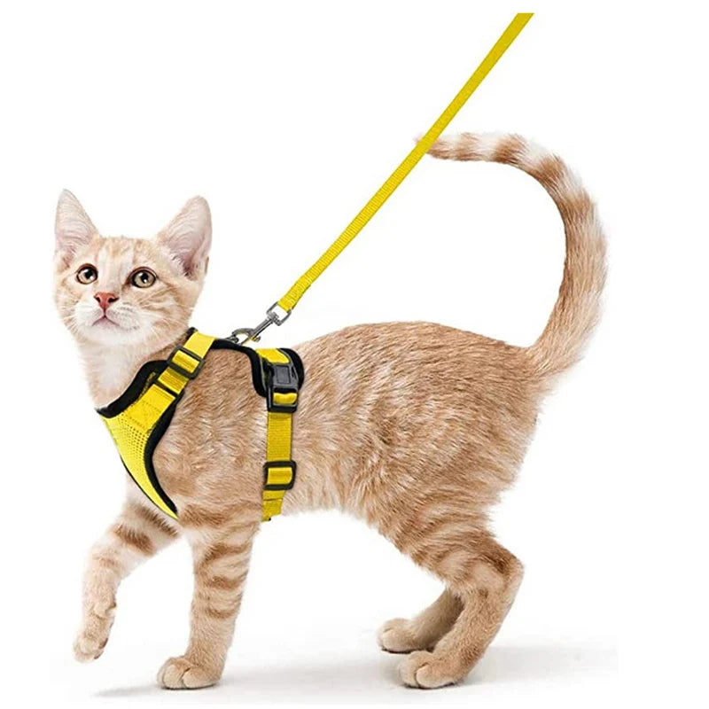 Escape-Proof Cat Harness & Leash – Soft